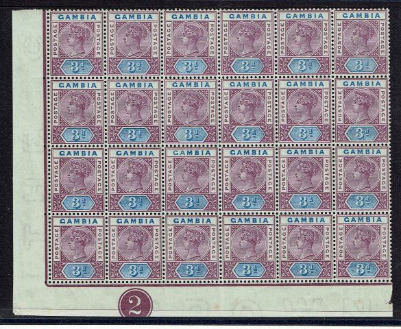 Image of Gambia SG 41 UMM British Commonwealth Stamp